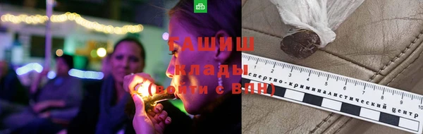 PSILOCYBIN Верхний Тагил
