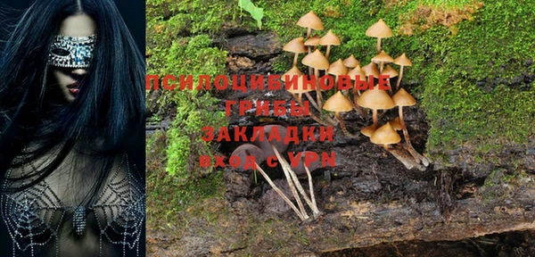 PSILOCYBIN Верхний Тагил