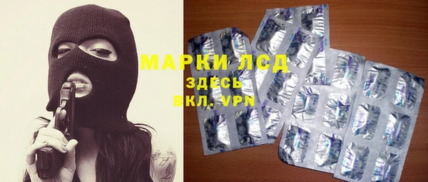 ГАЛЛЮЦИНОГЕННЫЕ ГРИБЫ Горно-Алтайск