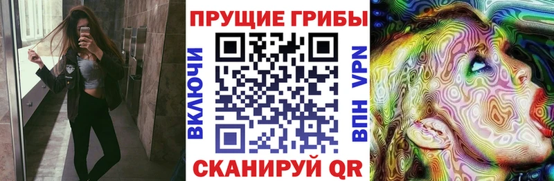 Галлюциногенные грибы Cubensis  kraken tor  Елабуга 